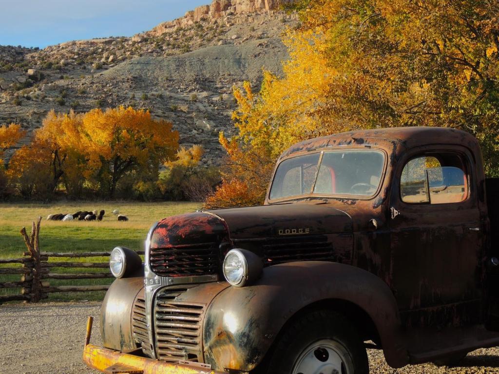 Canyon Of The Ancients Guest Ranch Cortez Bagian luar foto